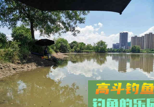 水库钓鲫鱼首选这三种钓位,尤其是初冬 水库钓鲫鱼首选这三种钓位,尤其是初冬