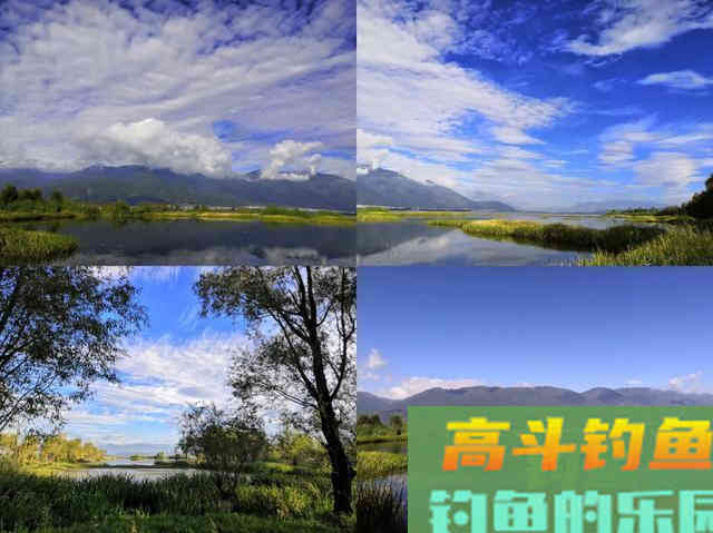春末夏初如何钓黑坑青鱼,通过天气、鱼情、饵料等解析 春末夏初如何钓黑坑青鱼,通过天气、鱼情、饵料等解析