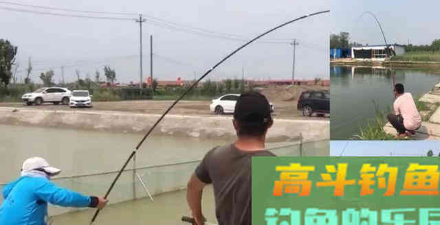 草鱼为何难钓?分析原因从它的生活习性入手 草鱼为何难钓?分析原因从它的生活习性入手