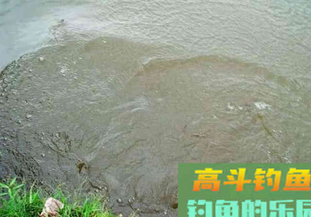 手竿如何垂钓大头鱼,4个方面重点就是饵要轻雾化好 手竿如何垂钓大头鱼,4个方面重点就是饵要轻雾化好
