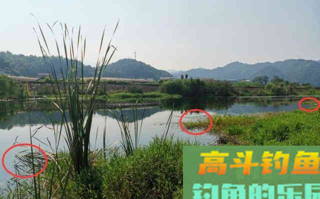 深秋野钓鲫鱼不宜死等口,传统钓主动出击找鱼窝更靠谱 深秋野钓鲫鱼不宜死等口,传统钓主动出击找鱼窝更靠谱