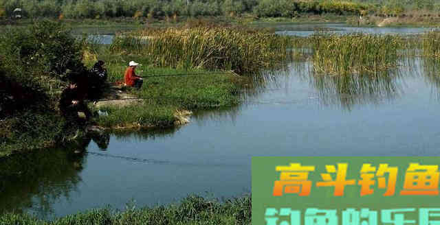 钓鱼不钓草等于瞎胡跑?主因有3点,下次我也要钓草 钓鱼不钓草等于瞎胡跑?主因有3点,下次我也要钓草