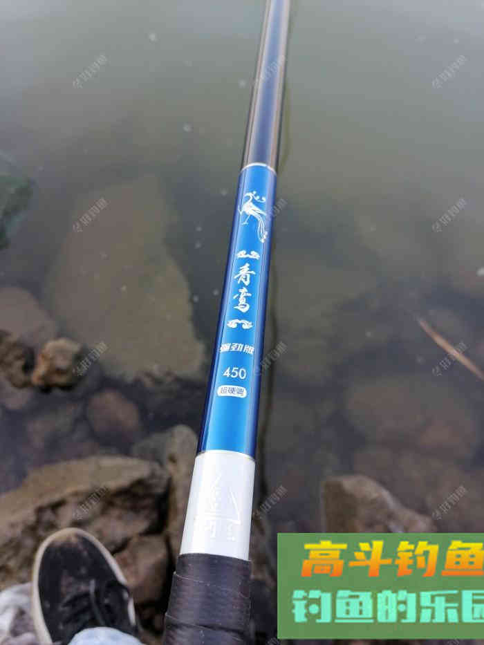 春季野钓鲫鱼的4个技巧分享,新手必看,让你更好的钓鱼 春季野钓鲫鱼的4个技巧分享,新手必看,让你更好的钓鱼