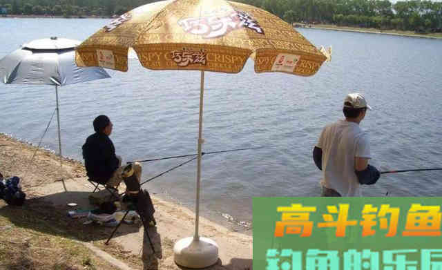 初夏鲫鱼不好钓，那是因为你没找对方法