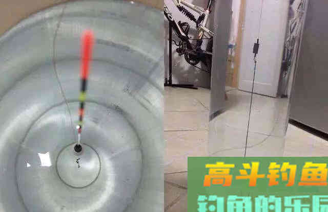 如何黑坑钓青鱼?合理运用钩距与子线的关系