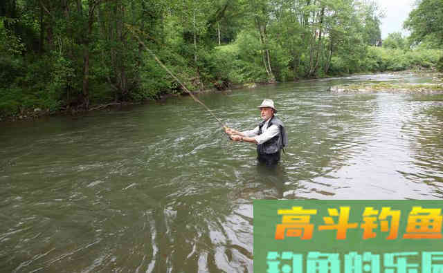 钓友常把它误认为草鱼,其实它是军鱼 钓友常把它误认为草鱼,其实它是军鱼