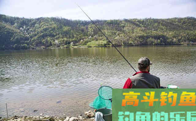秋季野钓为什么你钓不到鲫鱼?学会这两招爆护 秋季野钓为什么你钓不到鲫鱼?学会这两招爆护
