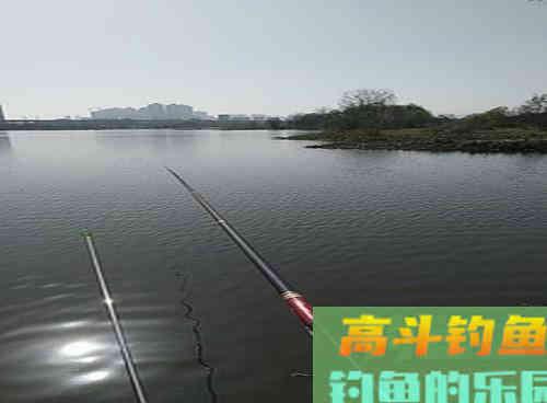 初春野钓遇到鲫鱼浮头怎么钓？学会这3可解决
