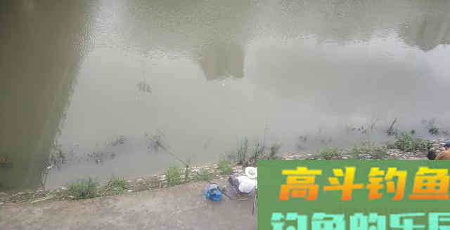 野钓：为什么鲤鱼比较难钓