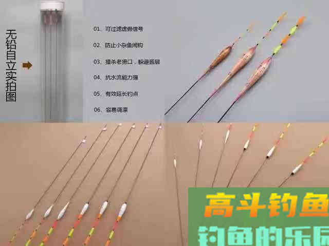 黑坑垂钓青鱼和大物，为何锚鱼多过正口？分析原因是关键