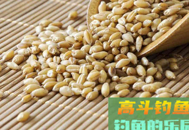 暮春南方大水域，详解如何垂钓大草鱼