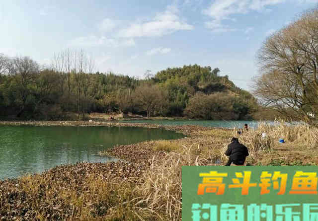 小鲫鱼连杆钓,大鲫鱼不见影?找到原因对症下药才能钓过瘾 小鲫鱼连杆钓,大鲫鱼不见影?找到原因对症下药才能钓过瘾