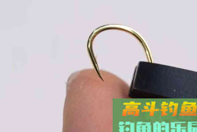 根据青鱼新鱼特点,分析鱼情合理选择正确钓法 根据青鱼新鱼特点,分析鱼情合理选择正确钓法
