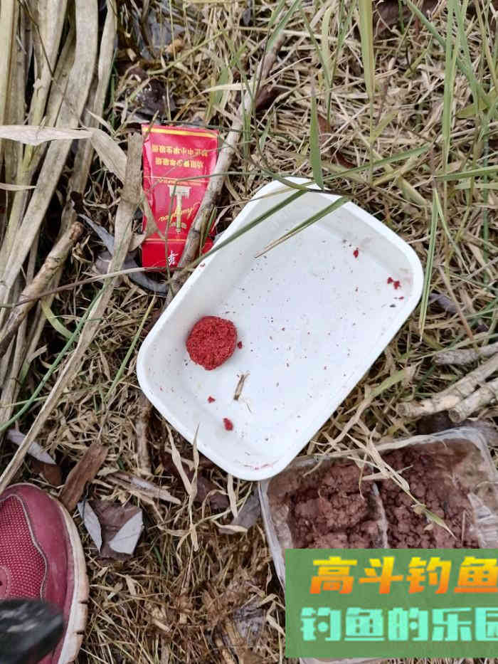 立春后，怎么钓板鲫，看这几招鱼获满满