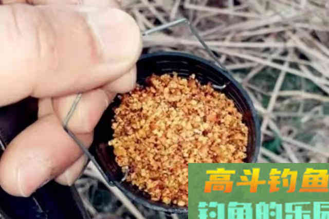 气温高，大板鲫就难钓了？立马换用这套路