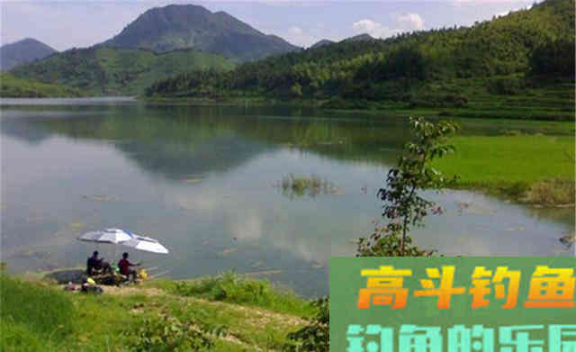 秋天钓鲤鱼比夏天要容易，选准钓位用对饵
