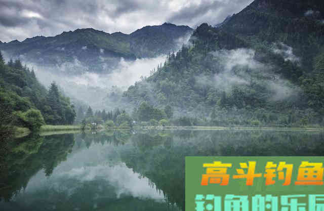 白条翘嘴这样钓，收获少不了，岸边走钓法助你