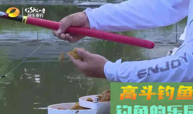 混合塘中直取鲤鱼，这4点尤其要注意