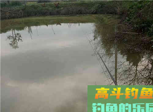 早春如何野钓鲫鱼呢?解析自然水域作钓鲫鱼的2技巧 早春如何野钓鲫鱼呢?解析自然水域作钓鲫鱼的2技巧
