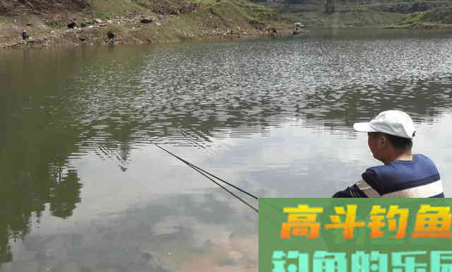 春末夏初，在河流如何钓白鲦
