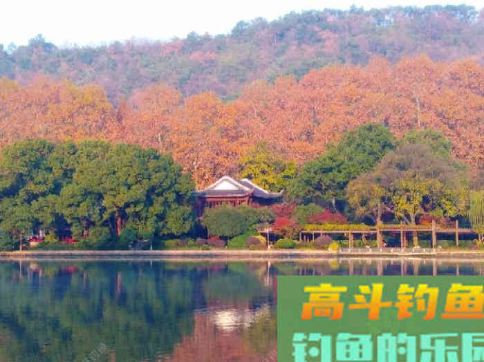 冬钓鲫鱼气温、温差与风力的影响,和鲫鱼的种种表现 冬钓鲫鱼气温、温差与风力的影响,和鲫鱼的种种表现