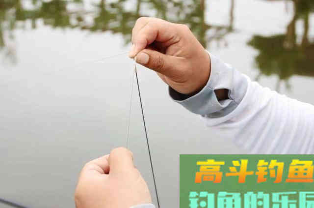 立秋后,说什么也别忽视这鲤鱼钓法 立秋后,说什么也别忽视这鲤鱼钓法