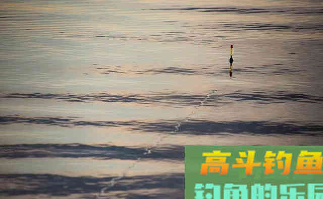 这7种漂相都是鲫鱼吃钩，看你错过多少鱼
