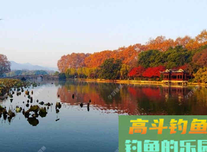 冬钓大鲫气温与鱼性和水深浅定位，窝饵与酒米作用