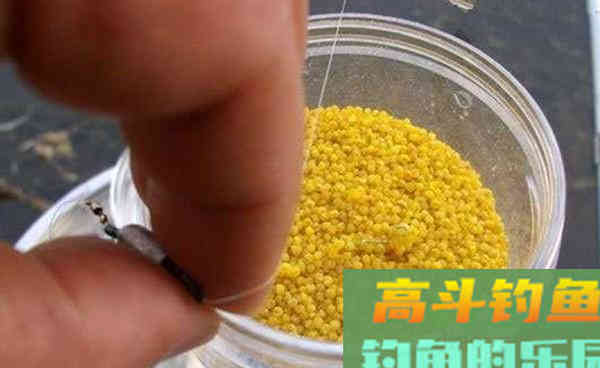 深秋手竿钓鲫鱼制胜3招，方法易掌握