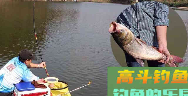 夏季鲢鳙怎么钓？掌握鱼情、水情、钓深、钓浅等