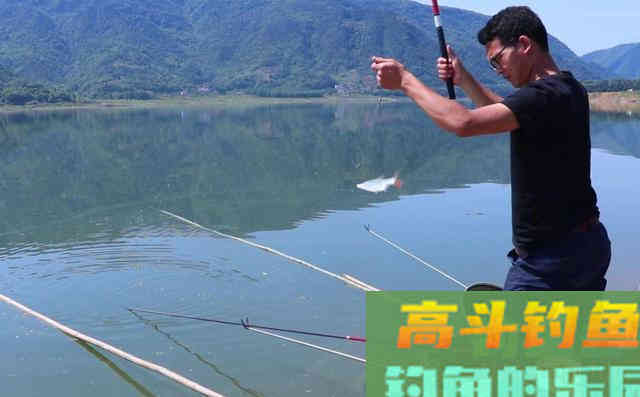 初夏，水库、池塘如何垂钓鲤鱼