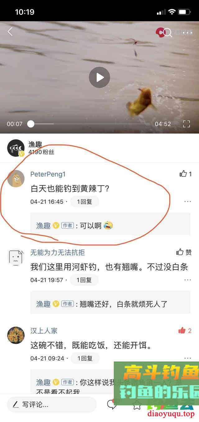 论蚯蚓钓黄颡鱼的正确用法