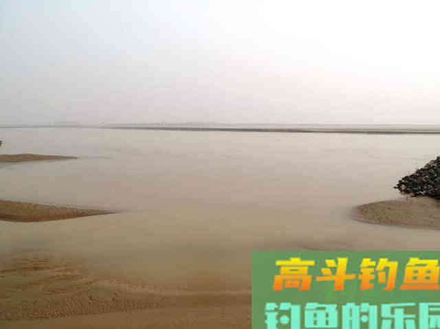 洛鲤伊鲂，贵于牛羊，钓黄河鲤是一种怎样的感受