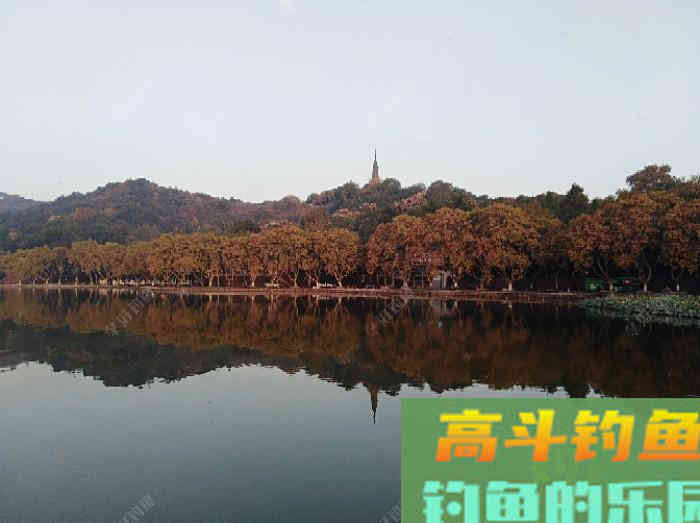 初冬钓大鲫体会，从四个方面解析，教你钓大鲫鱼