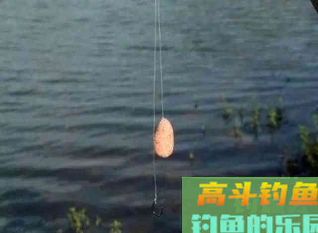 从3个方面掌握手竿钓鲢鳙的技巧，以后越钓越多