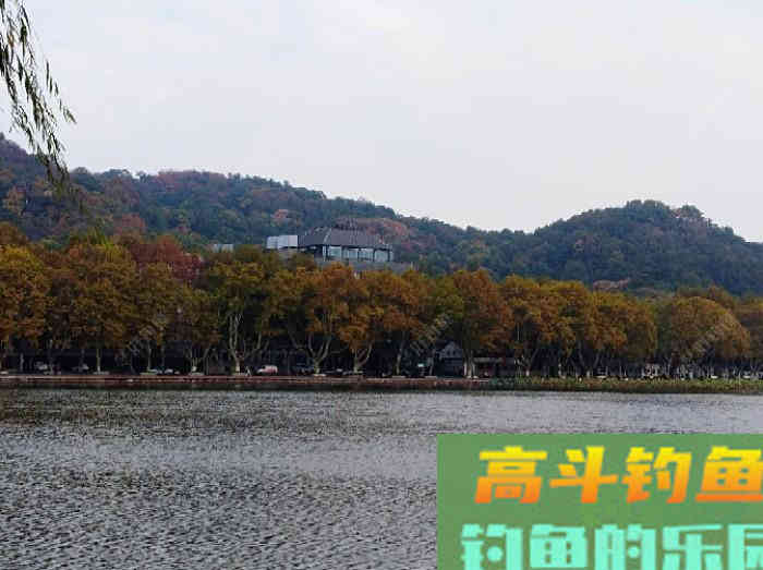 初冬钓大鲫体会，从四个方面解析，教你钓大鲫鱼