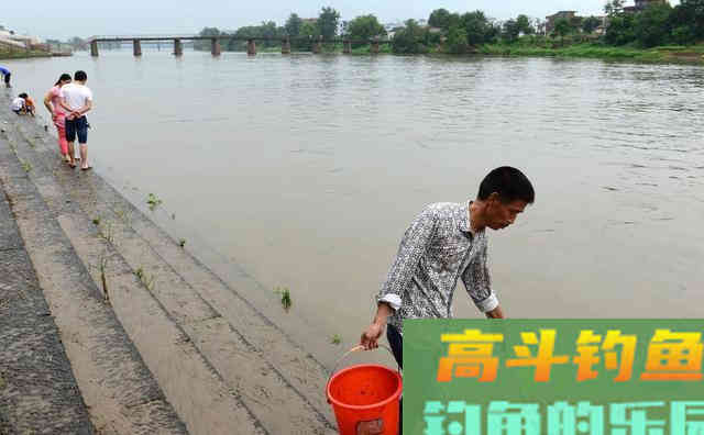 为何鲤鱼在美国像度假,在国内像渡劫 为何鲤鱼在美国像度假,在国内像渡劫