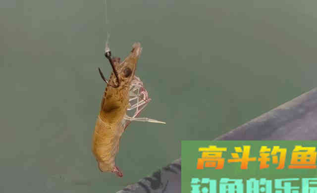 选好位置、用对方法，手竿也能钓鳜鱼