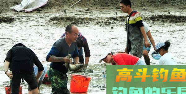 含辛茹苦养孩子,却被指责吞食幼崽!黑鱼为何蒙受不白之冤 含辛茹苦养孩子,却被指责吞食幼崽!黑鱼为何蒙受不白之冤