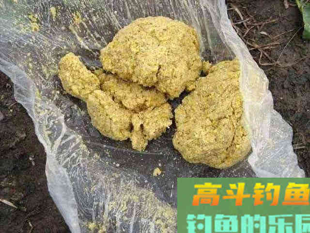 从钓获这条金鳞红尾的野生鲤鱼,谈谈我钓鲤鱼的经验 从钓获这条金鳞红尾的野生鲤鱼,谈谈我钓鲤鱼的经验