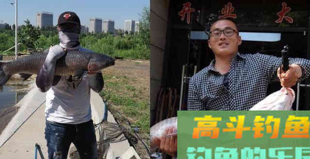 何为逗钓？深度解析逗钓的种类及各自使用方法及特点