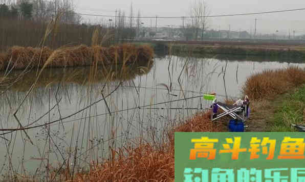 冬钓鲫鱼,如何选钓位?老钓手都喜欢去这六个地点 冬钓鲫鱼,如何选钓位?老钓手都喜欢去这六个地点