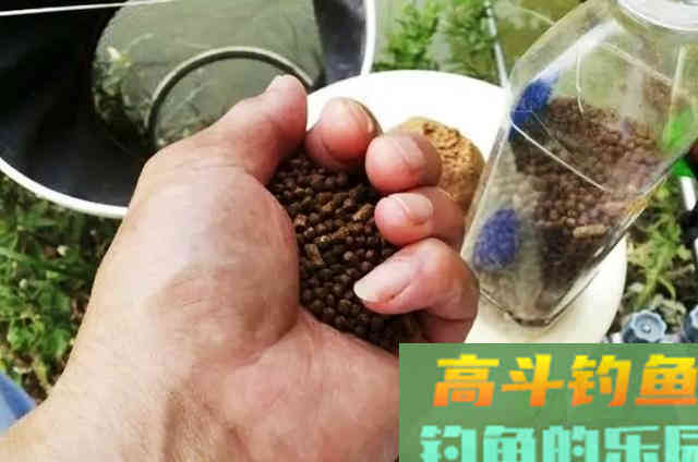 秋天野钓鲫鱼，选择钓位和饵料与调钓技巧总结