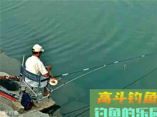野钓鲤鱼的钓位选择，你学会了吗？