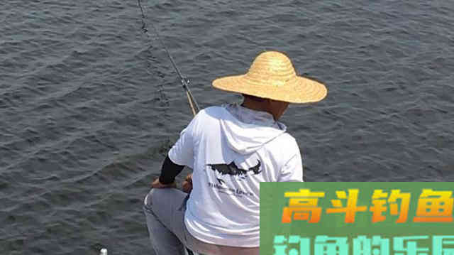 春末夏初，在河流如何钓白鲦
