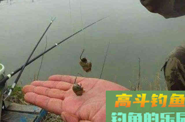 青鱼难钓到怀疑人生,无奈之下只好用这绝招 青鱼难钓到怀疑人生,无奈之下只好用这绝招