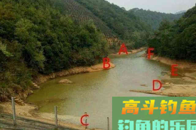 不得不承认,这套鲤鱼钓法用了二十年 不得不承认,这套鲤鱼钓法用了二十年