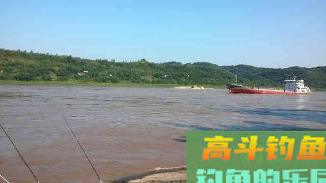 此鱼上海称鮰老鼠，四川名江团，贵州习鱼怎么钓