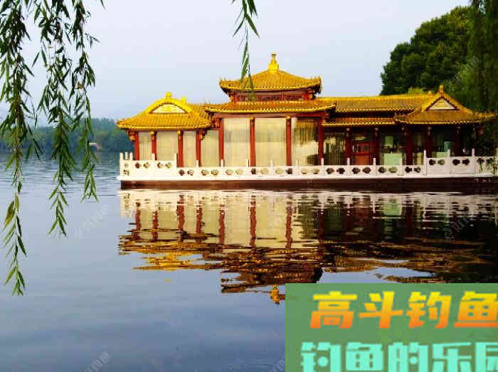 钓鲢鳙鱼3个因素与找鱼层方法,以及气温等技巧 钓鲢鳙鱼3个因素与找鱼层方法,以及气温等技巧