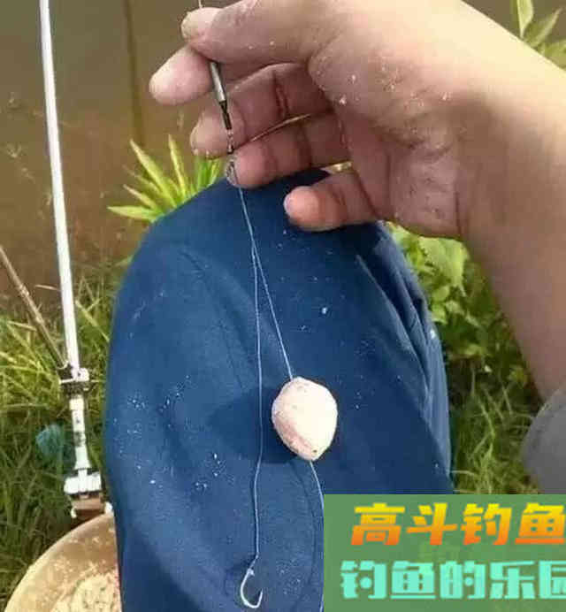 从3个方面掌握手竿钓鲢鳙的技巧，以后越钓越多